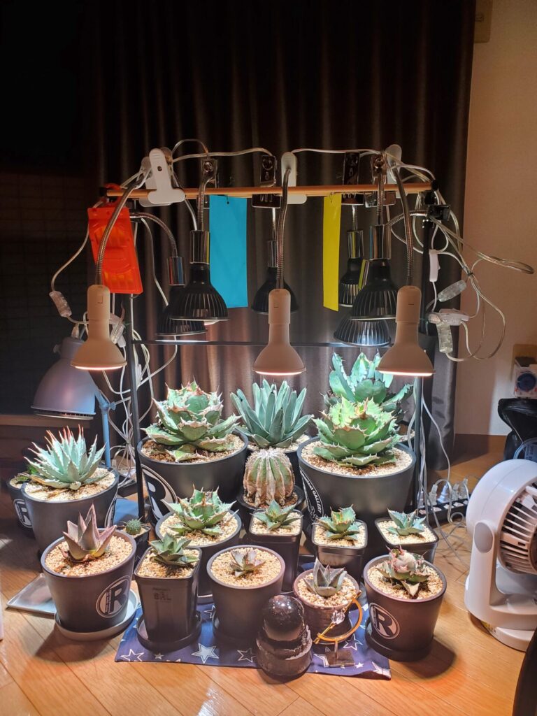 静岡市M様 LED植物育成ラックプロトタイプのお話 - Garage Laboratory